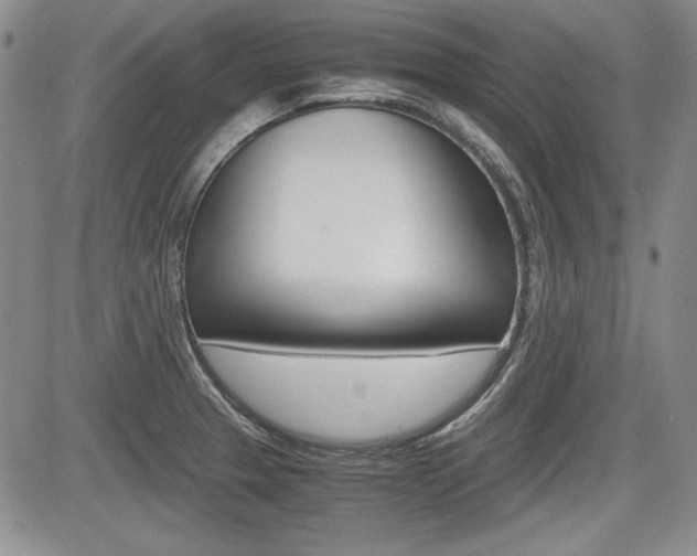 X0000085791329200703160924