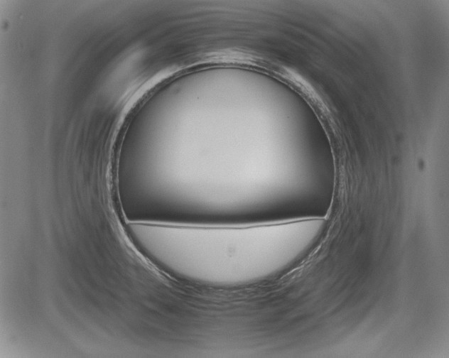 X0000085791331200703160924