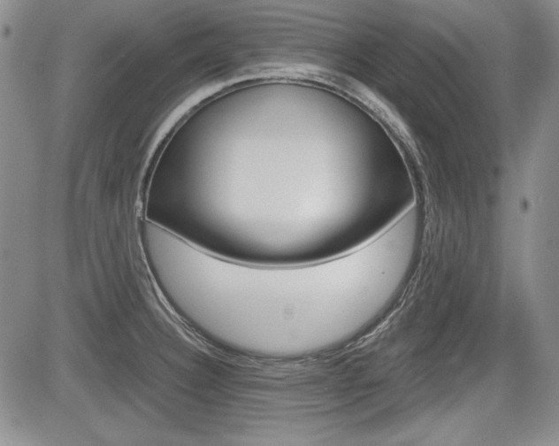X0000085791332200703160924