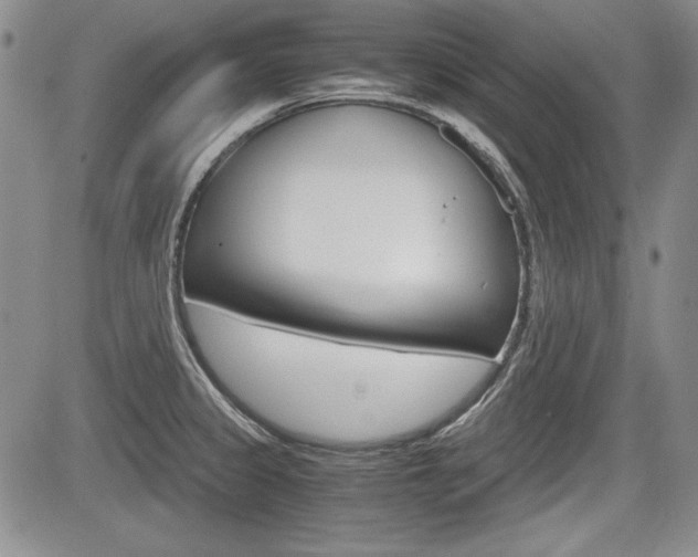 X0000085791333200703160924