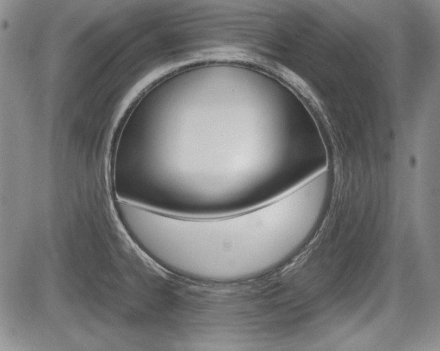 X0000085791334200703160924