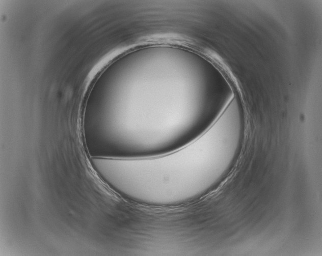 X0000085791336200703160924