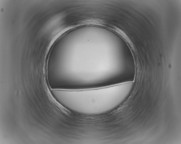 X0000085791339200703160924