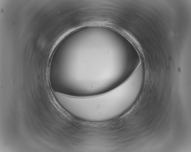 X0000085791340200703160924