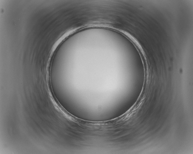 X0000085791341200703160924