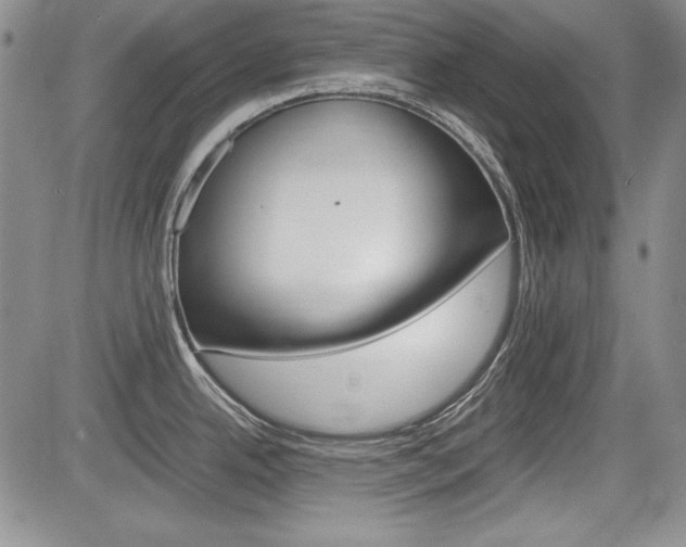 X0000085791342200703160924