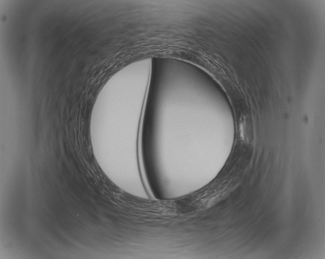 X0000085791347200703160923