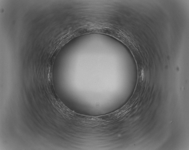 X0000085791348200703160923