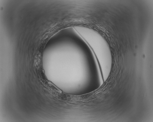 X0000085791349200703160923
