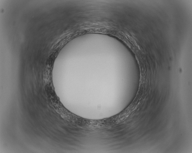 X0000085791350200703160923