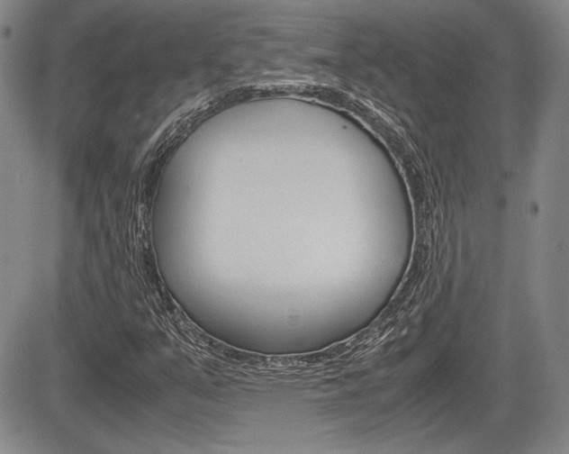 X0000085791351200703160923