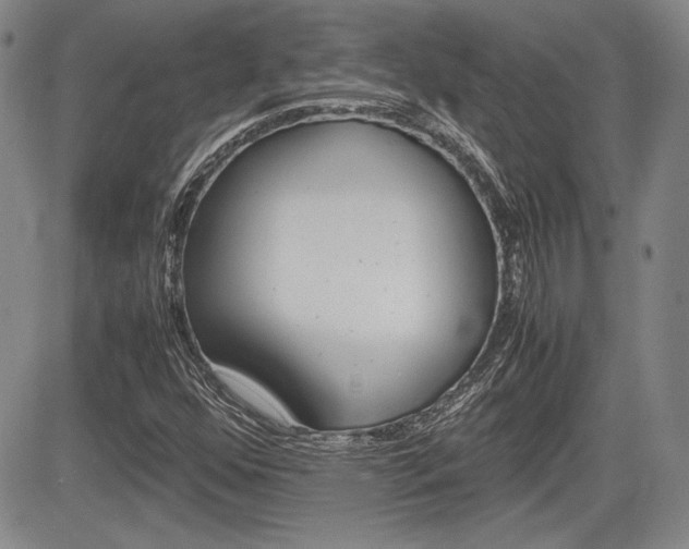 X0000085791352200703160923