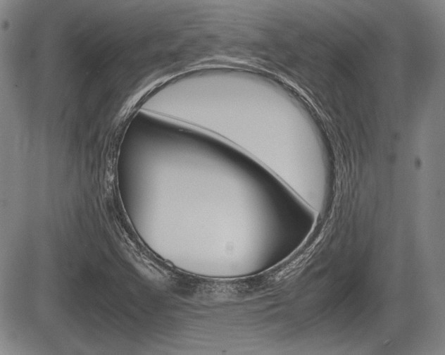 X0000085791355200703160923