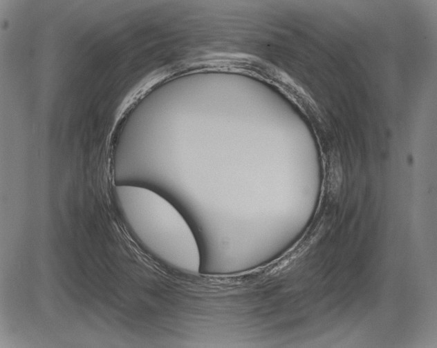 X0000085791362200703160923