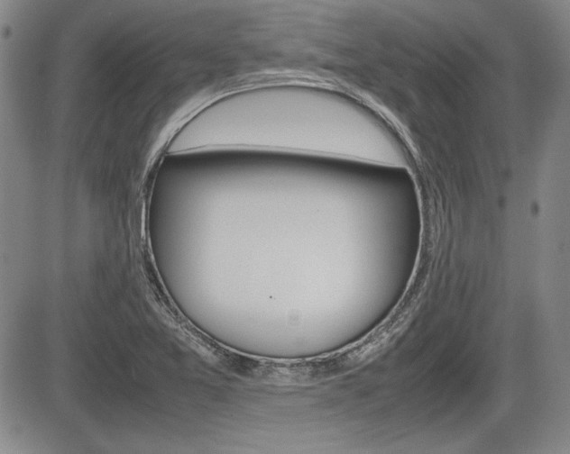 X0000085791365200703160923