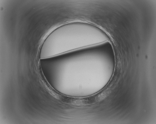 X0000085791367200703160923