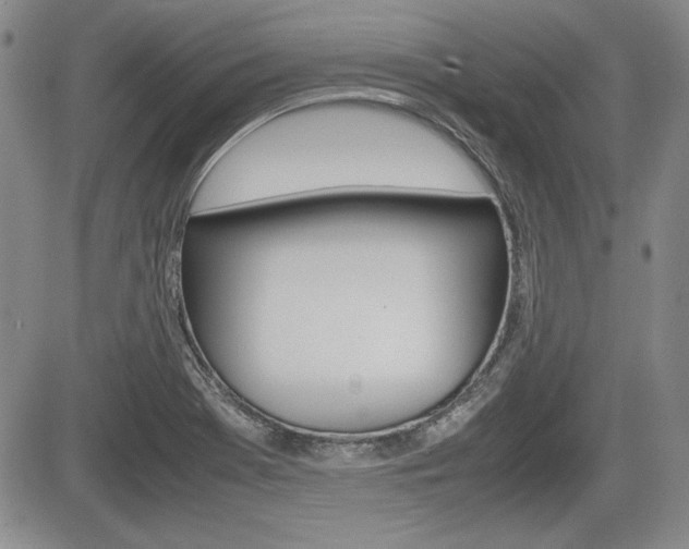 X0000085791369200703160923