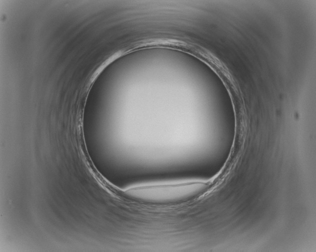 X0000085791377200703160923