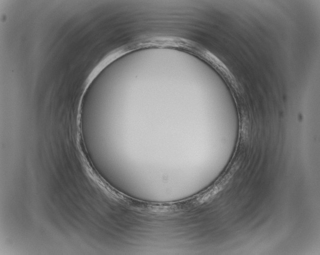 X0000085791378200703160923