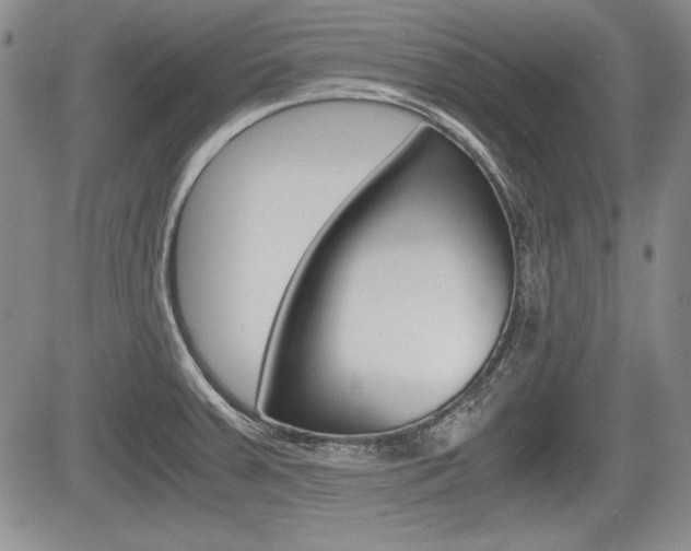 X0000085791379200703160922