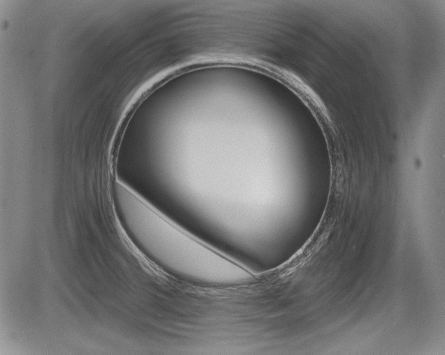 X0000085791380200703160922
