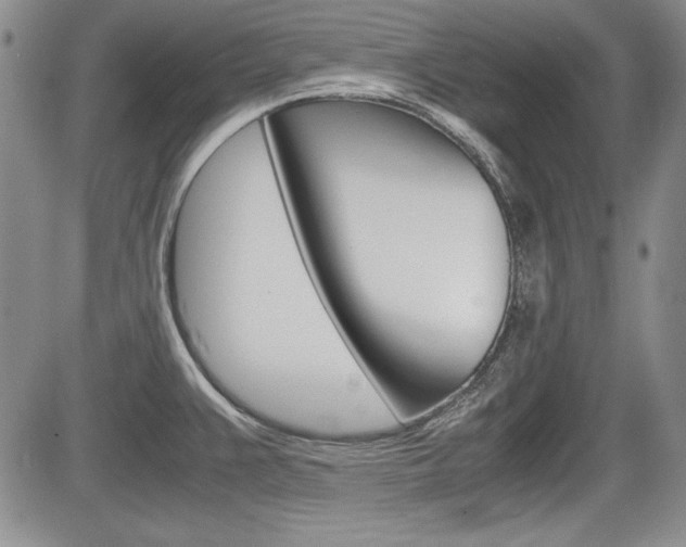 X0000085791383200703160922