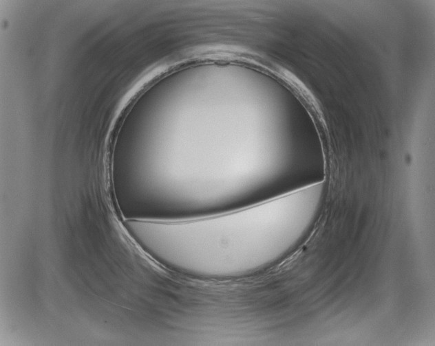 X0000085791384200703160922