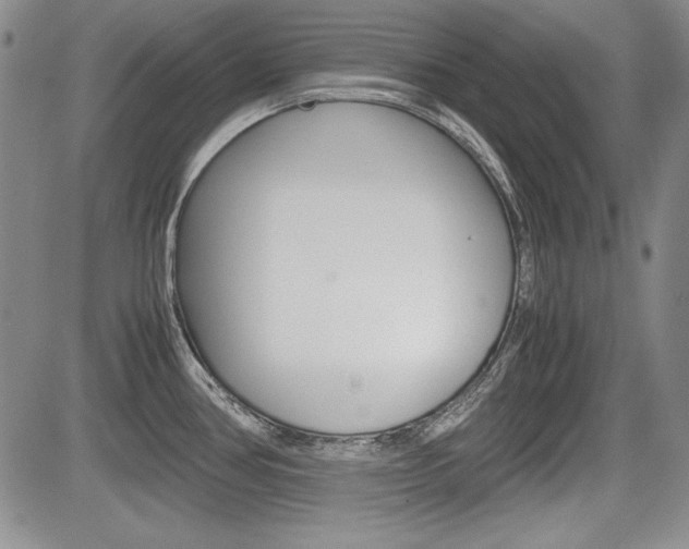 X0000085791386200703160922