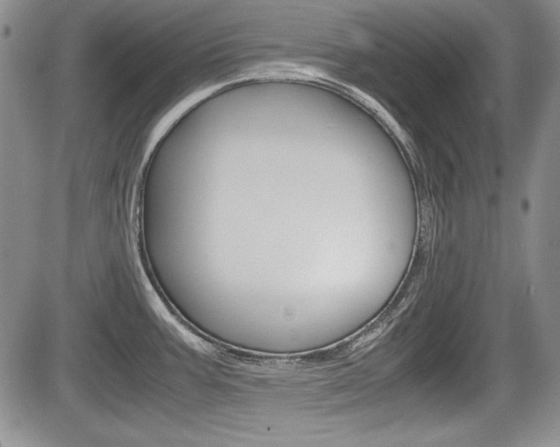 X0000085791387200703160922