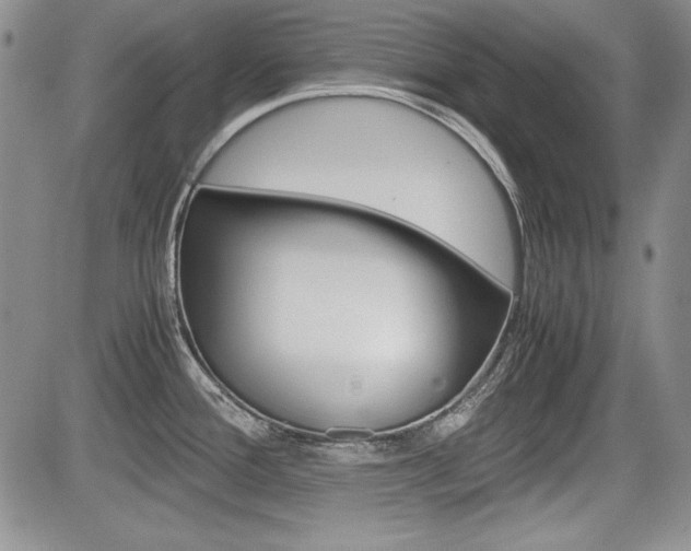 X0000085791388200703160922