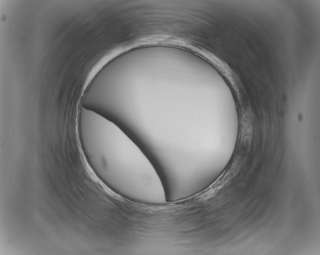 X0000085791390200703160922