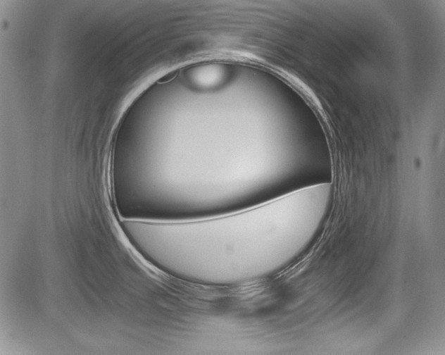 X0000085791391200703160922