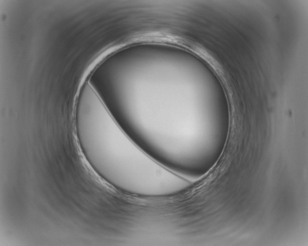 X0000085791392200703160922