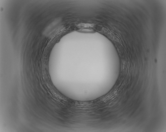 X0000085791393200703160921