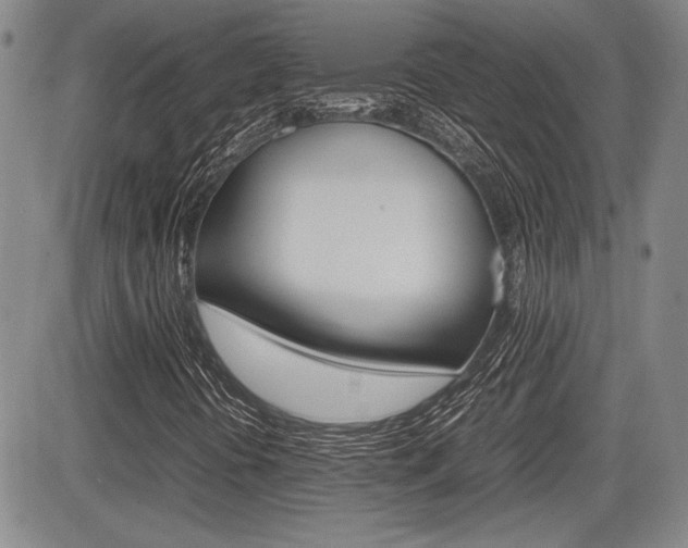 X0000085791394200703160921