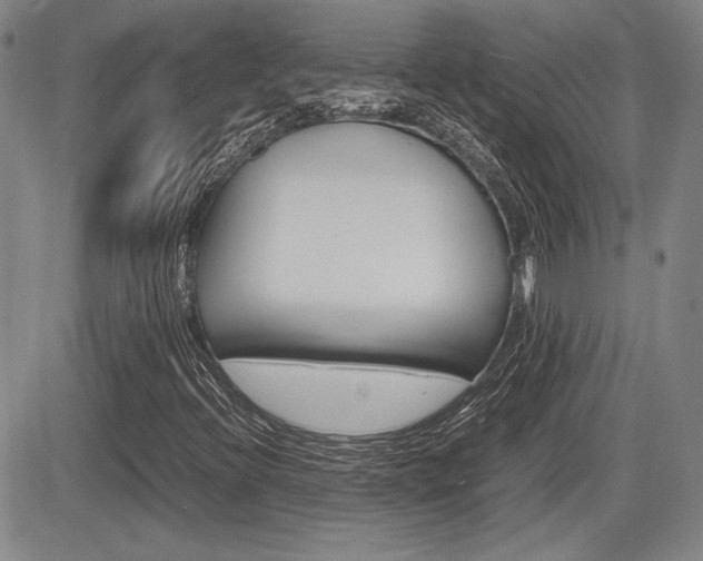 X0000085791396200703160922