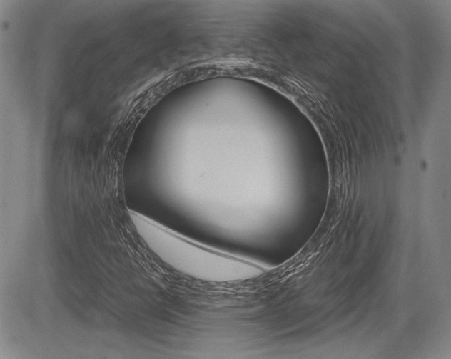 X0000085791398200703160922