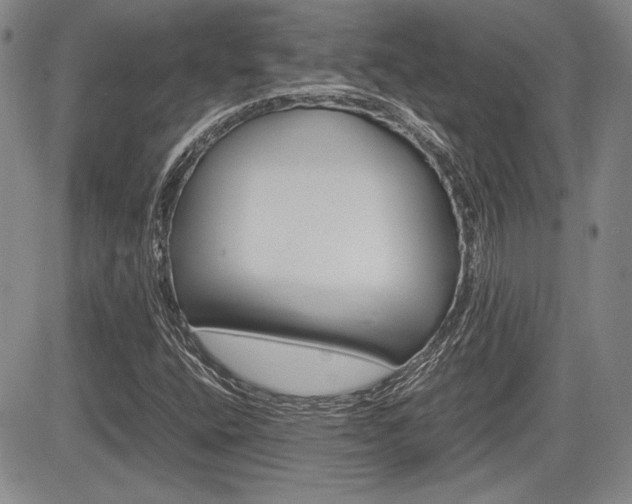 X0000085791400200703160922