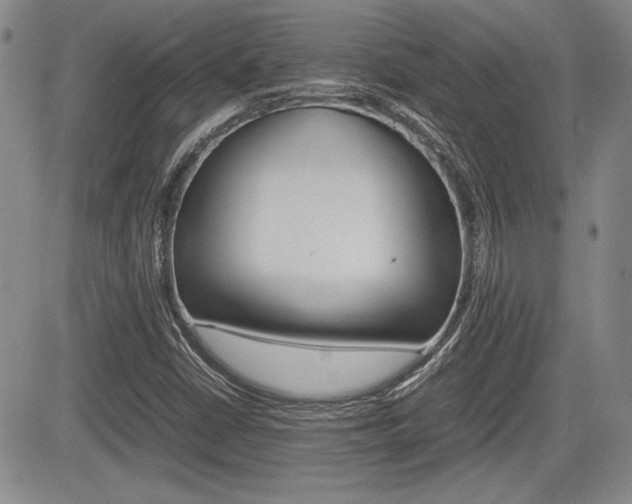 X0000085791402200703160922