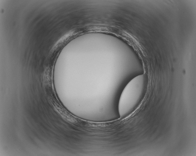 X0000085791403200703160922