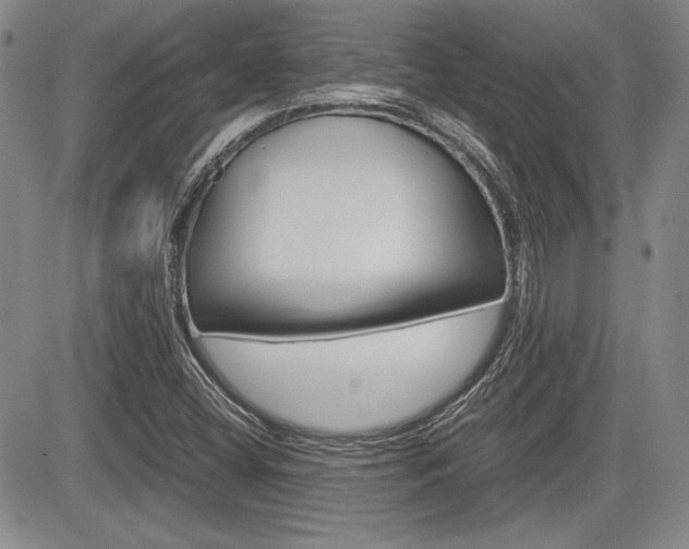 X0000085791404200703160922