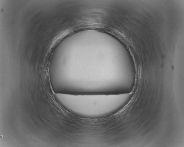 X0000085791405200703160922