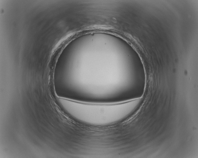 X0000085791406200703160922