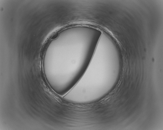 X0000085791408200703160922