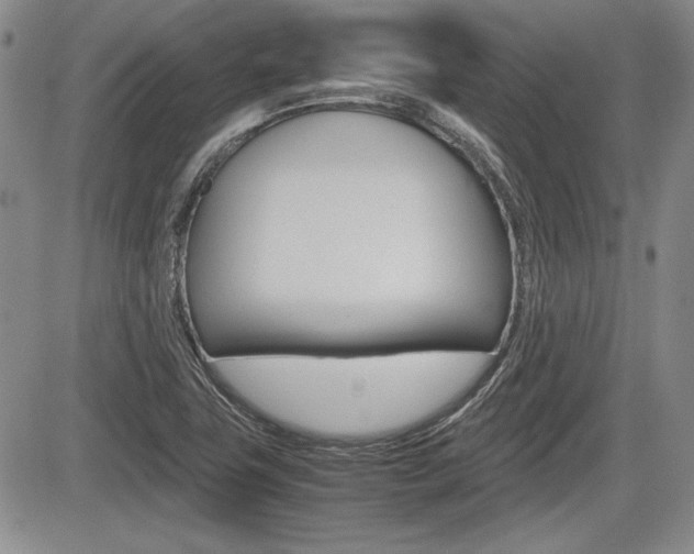 X0000085791411200703160922