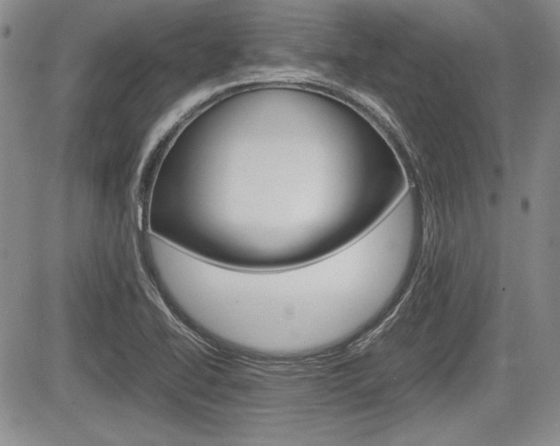 X0000085791414200703160922