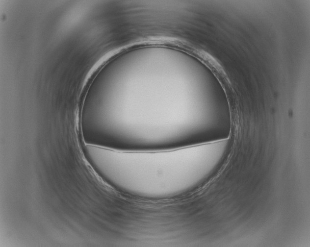 X0000085791420200703160922
