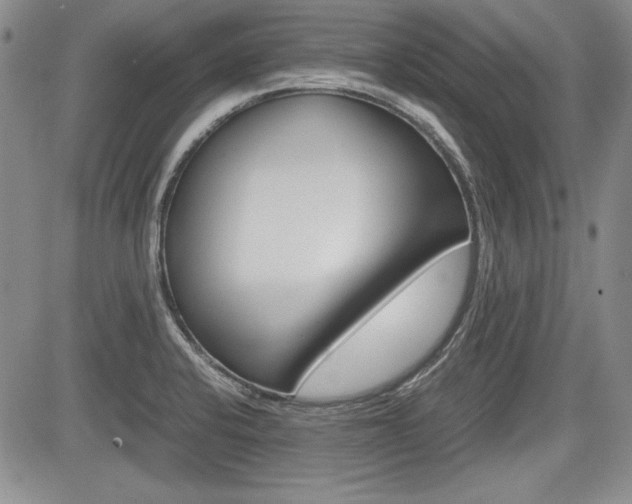 X0000085791424200703160922