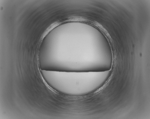 X0000085791425200703160922
