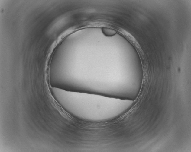 X0000085791427200703160922